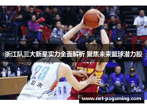 浙江队三大新星实力全面解析 聚焦未来篮球潜力股