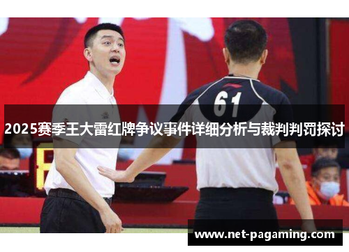 2025赛季王大雷红牌争议事件详细分析与裁判判罚探讨