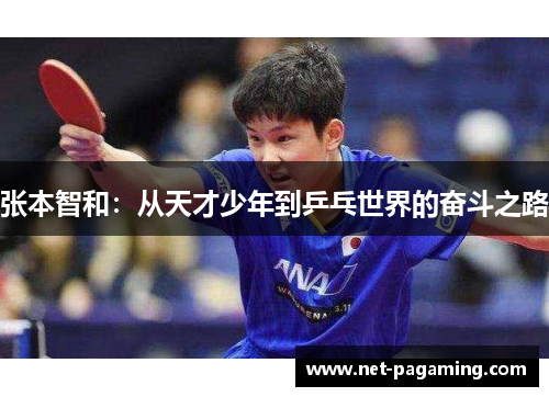 张本智和：从天才少年到乒乓世界的奋斗之路