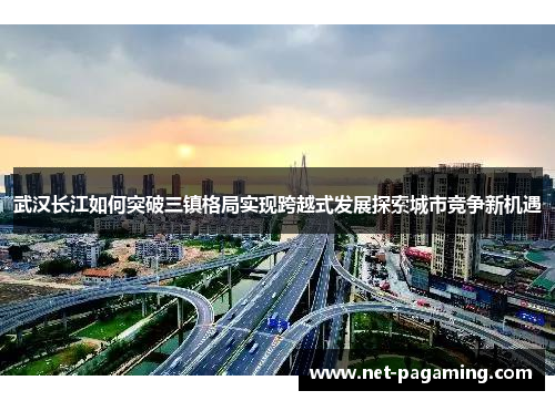 武汉长江如何突破三镇格局实现跨越式发展探索城市竞争新机遇