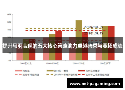 提升马羽表现的五大核心策略助力卓越骑乘与赛场成绩