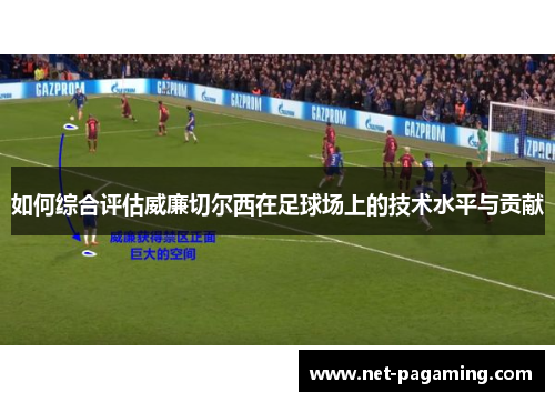 如何综合评估威廉切尔西在足球场上的技术水平与贡献