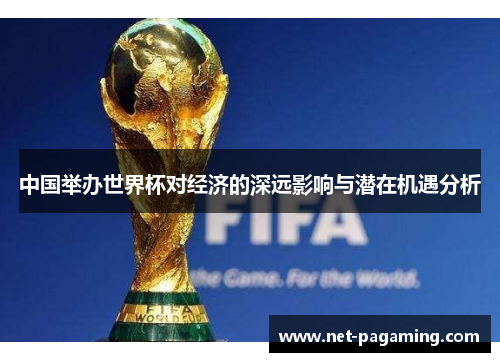 中国举办世界杯对经济的深远影响与潜在机遇分析