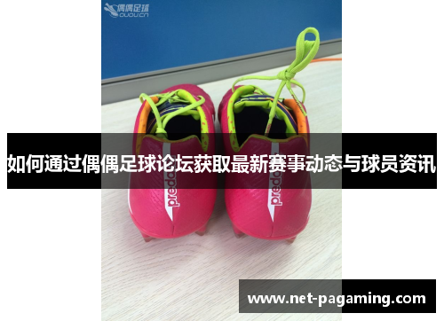 如何通过偶偶足球论坛获取最新赛事动态与球员资讯