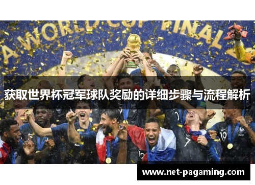 获取世界杯冠军球队奖励的详细步骤与流程解析 获取世界杯冠军球队奖励的详细步骤与流程解析