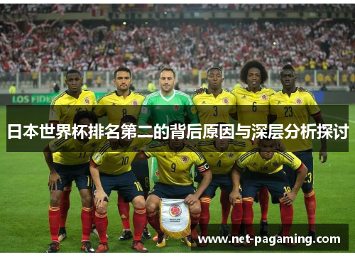 日本世界杯排名第二的背后原因与深层分析探讨