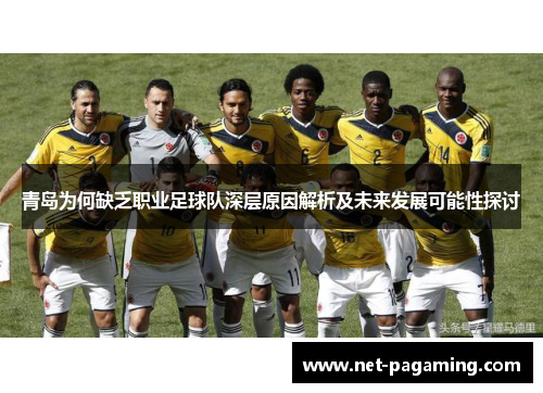 青岛为何缺乏职业足球队深层原因解析及未来发展可能性探讨