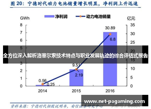 全方位深入解析洛塞尔索技术特点与职业发展轨迹的综合评估式报告 全方位深入解析洛塞尔索技术特点与职业发展轨迹的综合评估式报告