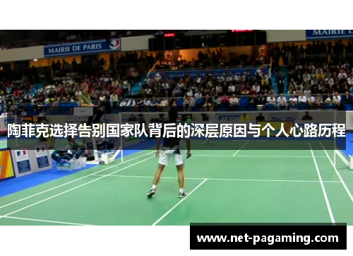 陶菲克选择告别国家队背后的深层原因与个人心路历程