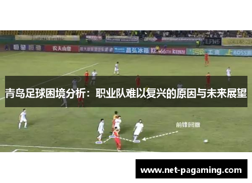青岛足球困境分析：职业队难以复兴的原因与未来展望
