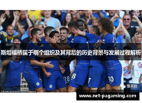 斯坦福桥属于哪个组织及其背后的历史背景与发展过程解析 斯坦福桥属于哪个组织及其背后的历史背景与发展过程解析