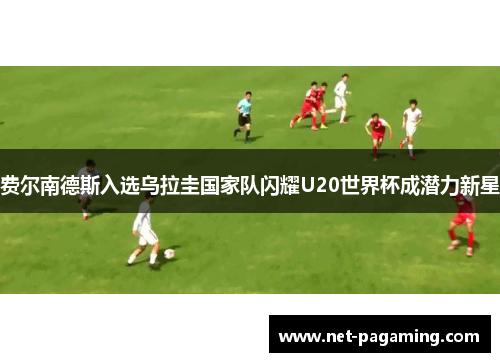 费尔南德斯入选乌拉圭国家队闪耀U20世界杯成潜力新星