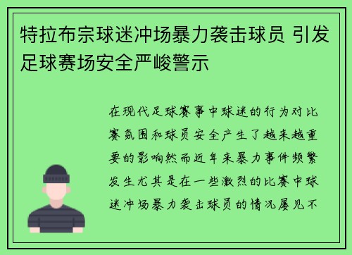 特拉布宗球迷冲场暴力袭击球员 引发足球赛场安全严峻警示 特拉布宗球迷冲场暴力袭击球员 引发足球赛场安全严峻警示